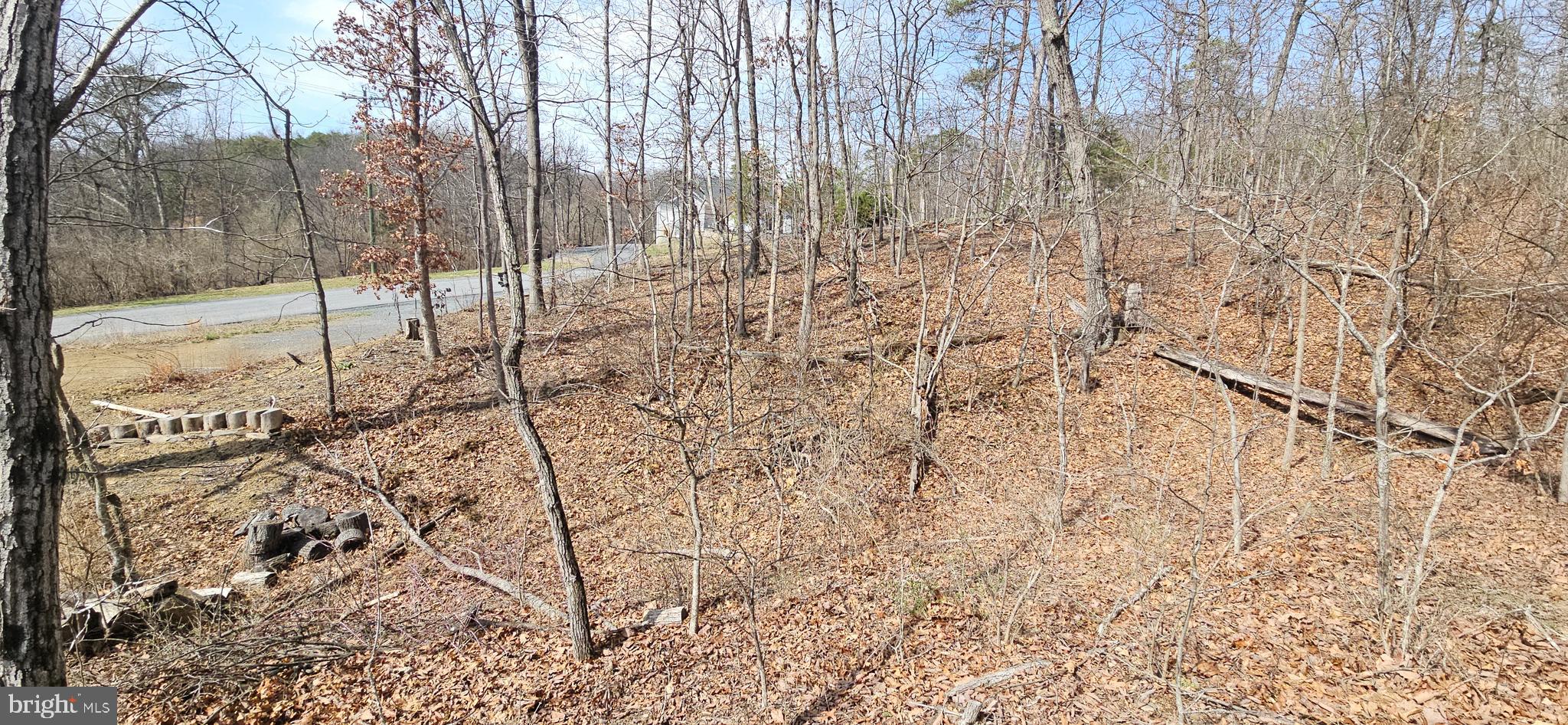 1079 Gun Club Road Stephenson, VA 22656 - Photo 28 of 33