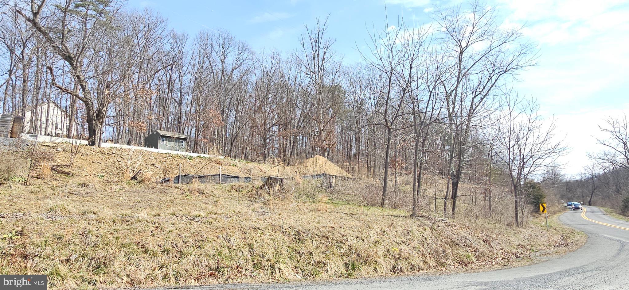 1079 Gun Club Road Stephenson, VA 22656 - Photo 32 of 33