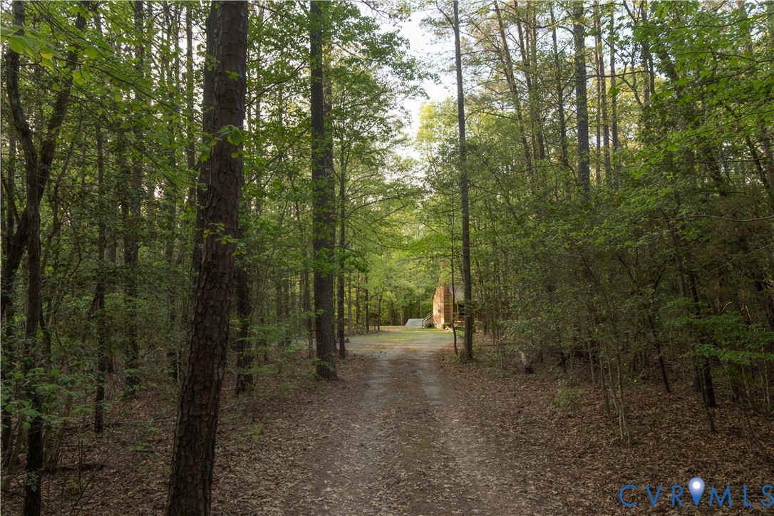 2477 Calno Road Hanover, VA 23069 - Photo 33 of 33 a view of a forest with trees in the background