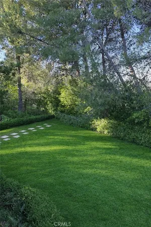 a view of a grassy field with trees