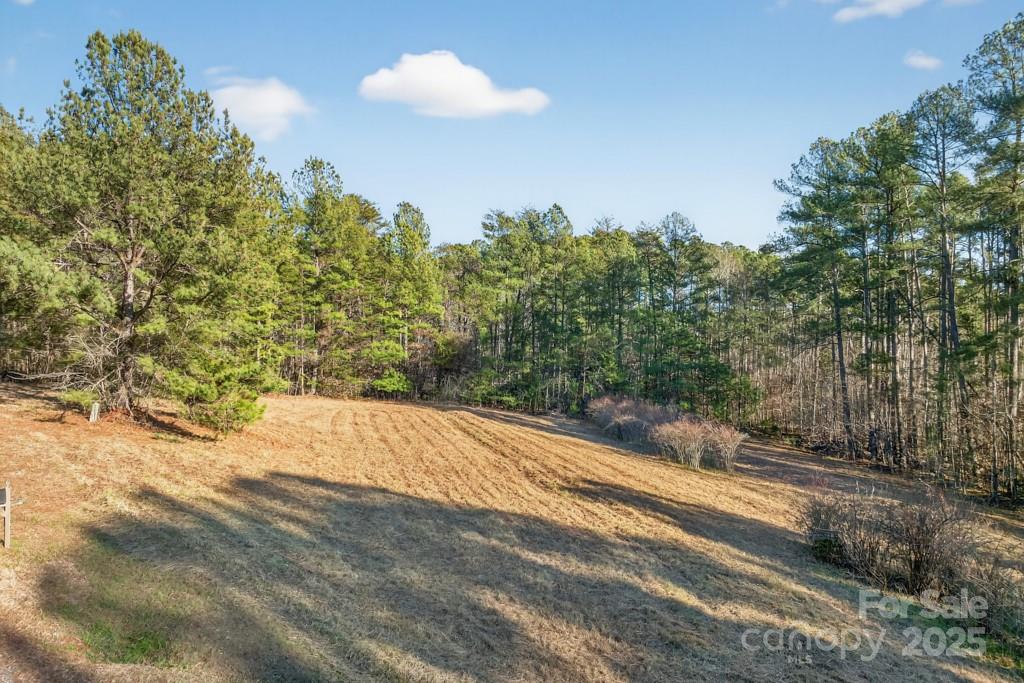 241 Pinefield Drive Tryon, NC 28782 - Photo 35 of 39 a view of a yard