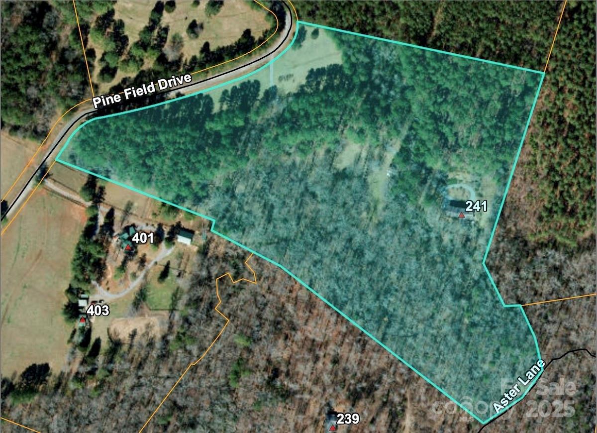 241 Pinefield Drive Tryon, NC 28782 - Photo 39 of 39 a view of a forest from a balcony