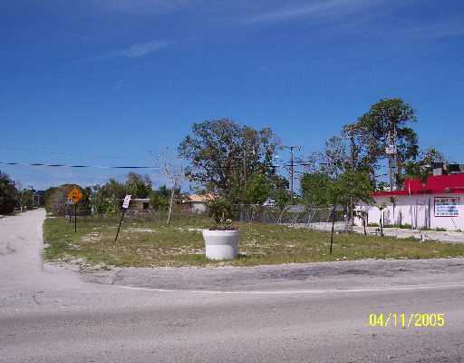 Primary Photo