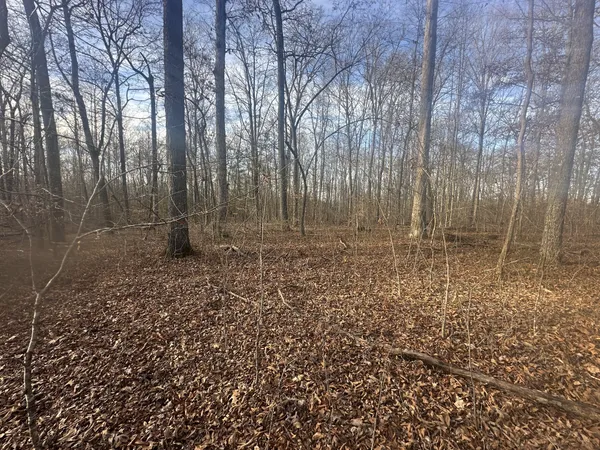 $129,900 | 0 Arnold Thomas Road, Silver Point, TN 38582