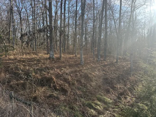 $129,900 | 0 Arnold Thomas Road, Silver Point, TN 38582