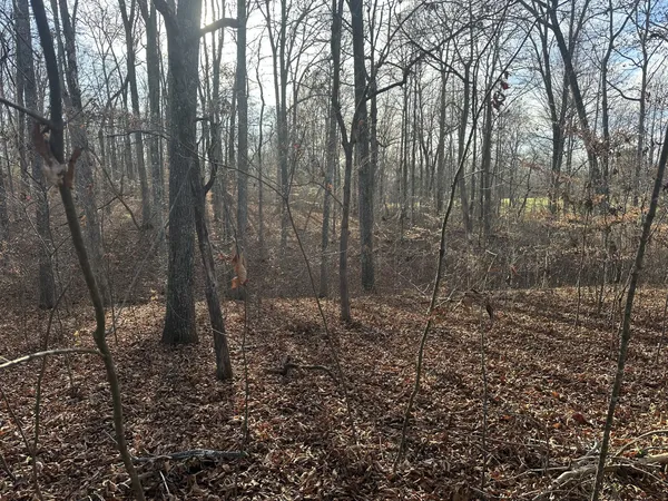 $129,900 | 0 Arnold Thomas Road, Silver Point, TN 38582