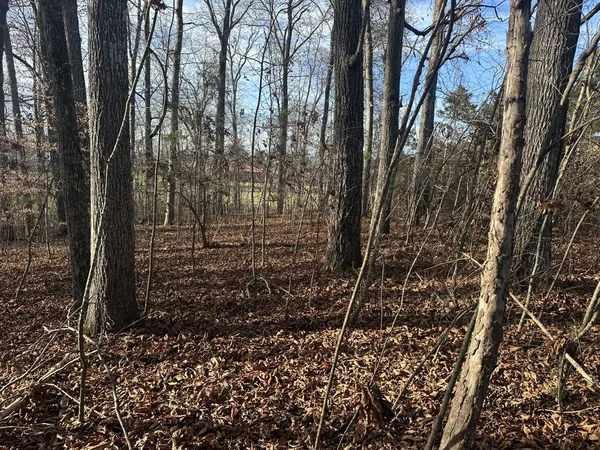 $129,900 | 0 Arnold Thomas Road, Silver Point, TN 38582