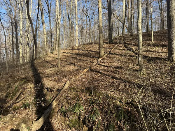 $129,900 | 0 Arnold Thomas Road, Silver Point, TN 38582
