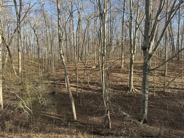 $129,900 | 0 Arnold Thomas Road, Silver Point, TN 38582