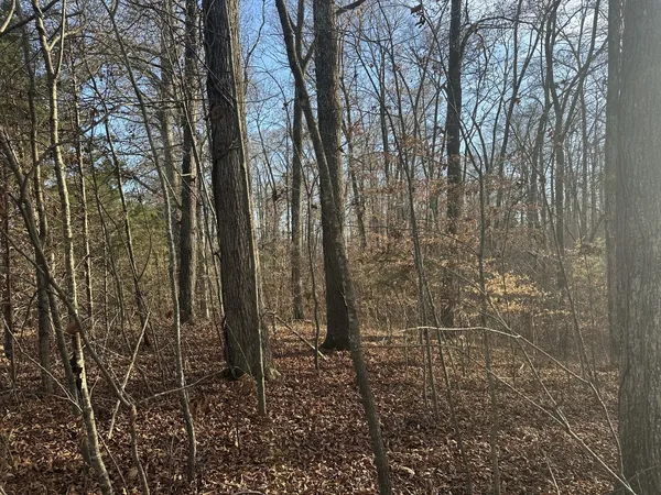 $129,900 | 0 Arnold Thomas Road, Silver Point, TN 38582