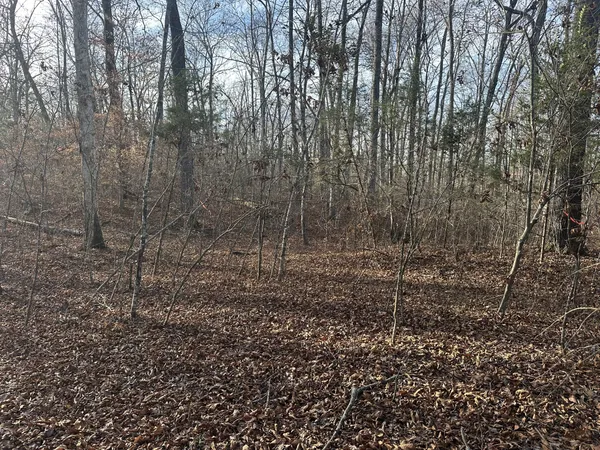 $129,900 | 0 Arnold Thomas Road, Silver Point, TN 38582