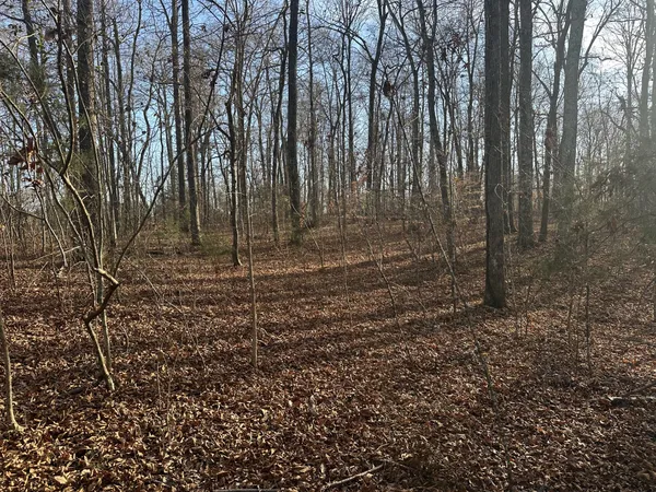 $129,900 | 0 Arnold Thomas Road, Silver Point, TN 38582