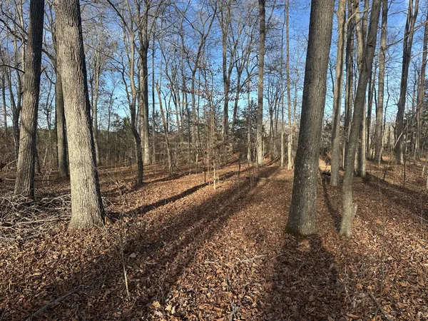 $129,900 | 0 Arnold Thomas Road, Silver Point, TN 38582