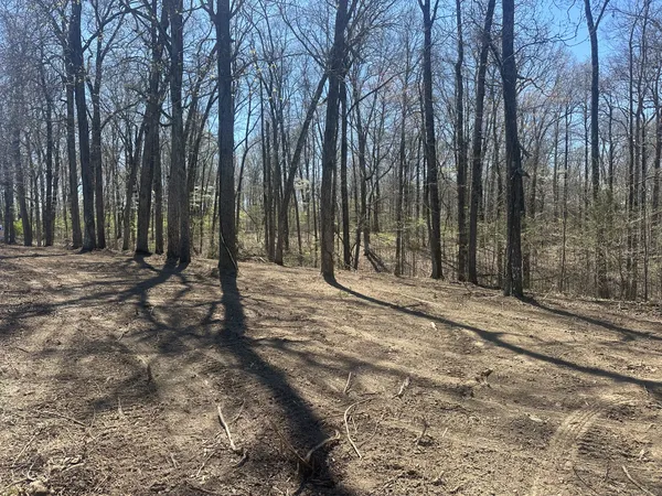$129,900 | 0 Arnold Thomas Road, Silver Point, TN 38582
