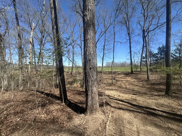 $129,900 | 0 Arnold Thomas Road, Silver Point, TN 38582
