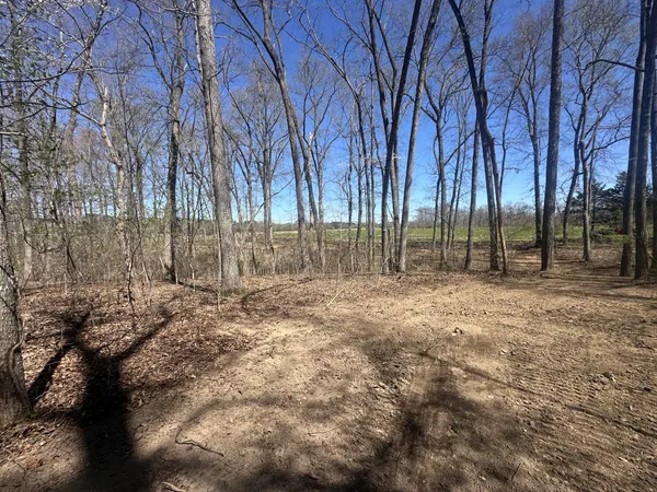 $129,900 | 0 Arnold Thomas Road, Silver Point, TN 38582