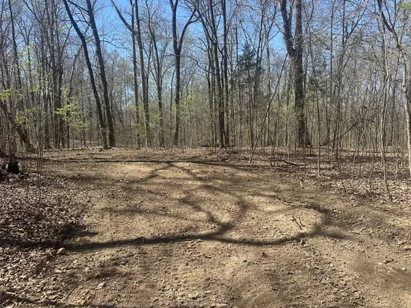 $129,900 | 0 Arnold Thomas Road, Silver Point, TN 38582