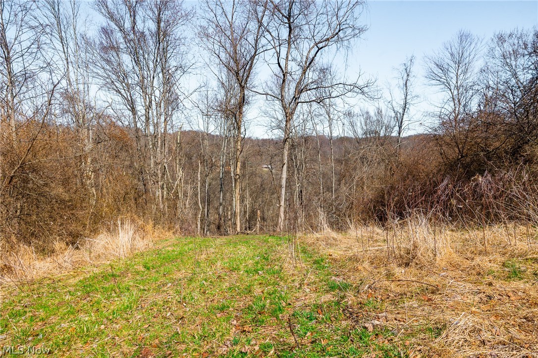 Sheepskin Ridge Road Lower Salem, OH 45745 - Photo 23 of 50 View of nature