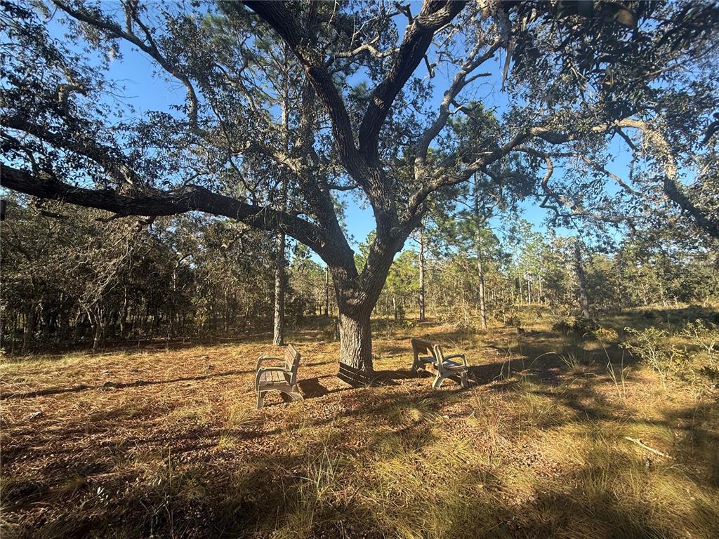 0 Southeast 73 Lane Morriston, FL 32668 - Photo 1 of 25