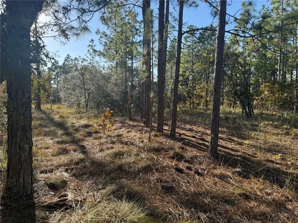 $135,000 | 0 Southeast 73 Lane, Morriston, FL 32668