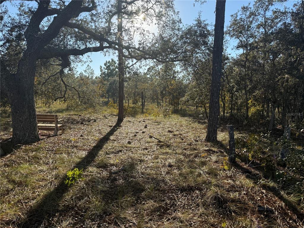 0 Southeast 73 Lane Morriston, FL 32668 - Photo 14 of 25