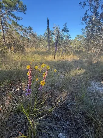 $135,000 | 0 Southeast 73 Lane, Morriston, FL 32668