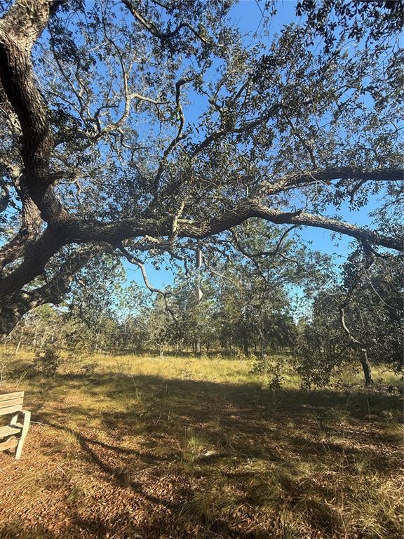 0 Southeast 73 Lane Morriston, FL 32668 - Photo 17 of 25