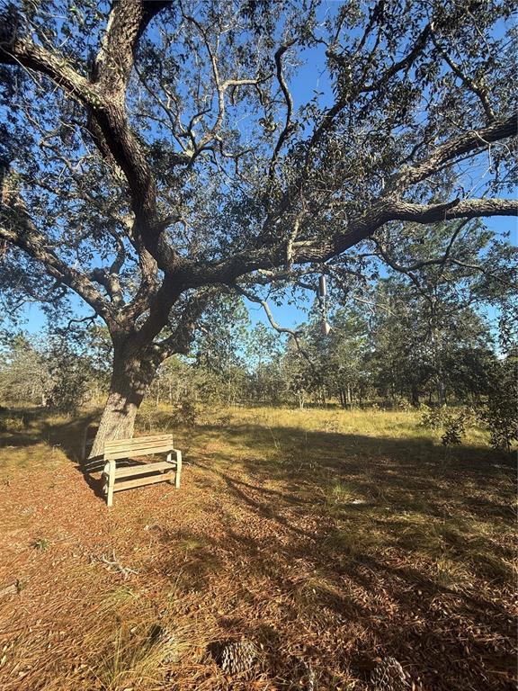 0 Southeast 73 Lane Morriston, FL 32668 - Photo 18 of 25