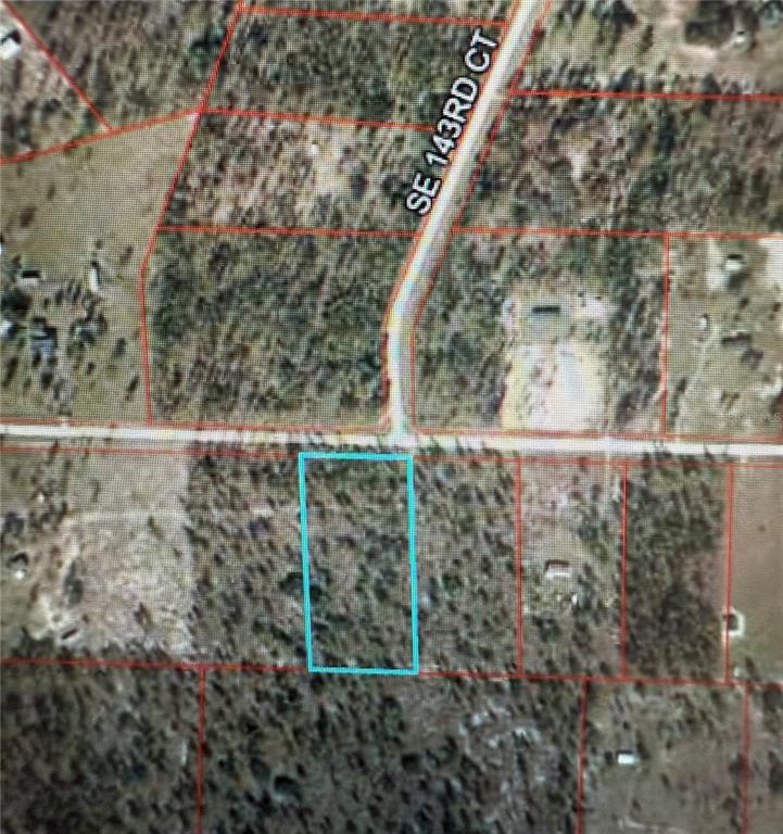0 Southeast 73 Lane Morriston, FL 32668 - Photo 2 of 25