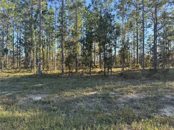 $135,000 | 0 Southeast 73 Lane, Morriston, FL 32668