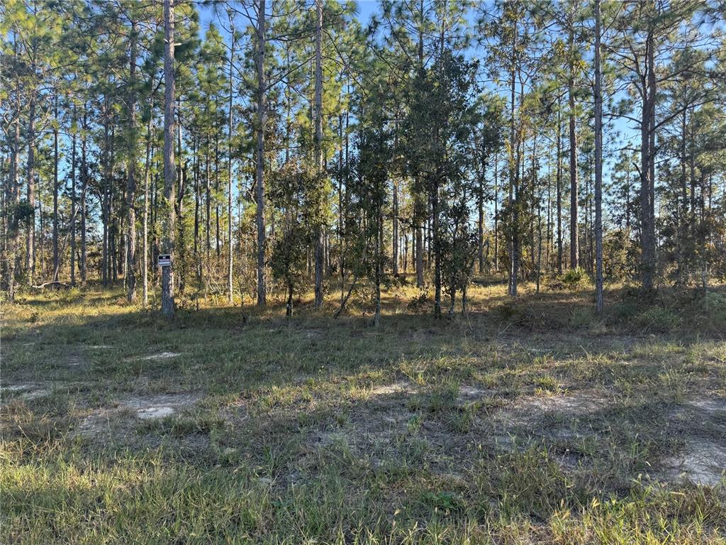 0 Southeast 73 Lane Morriston, FL 32668 - Photo 21 of 25