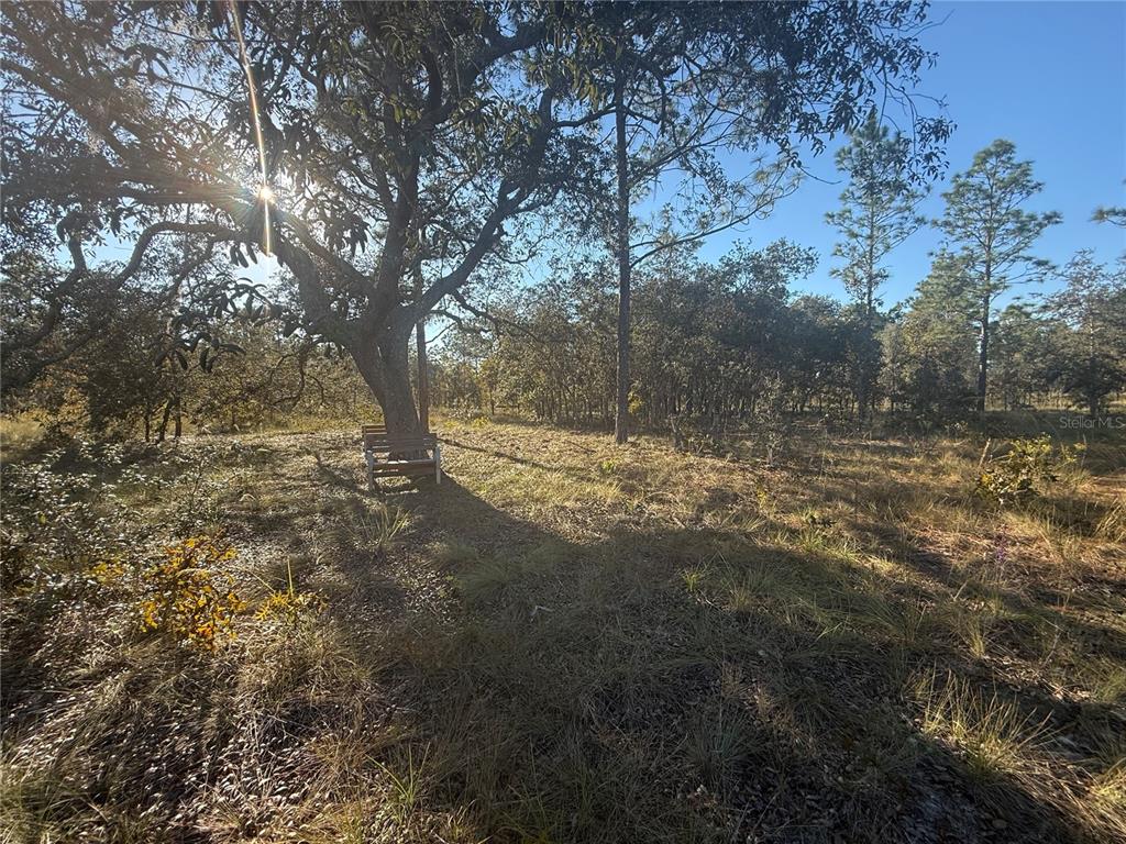 0 Southeast 73 Lane Morriston, FL 32668 - Photo 23 of 25