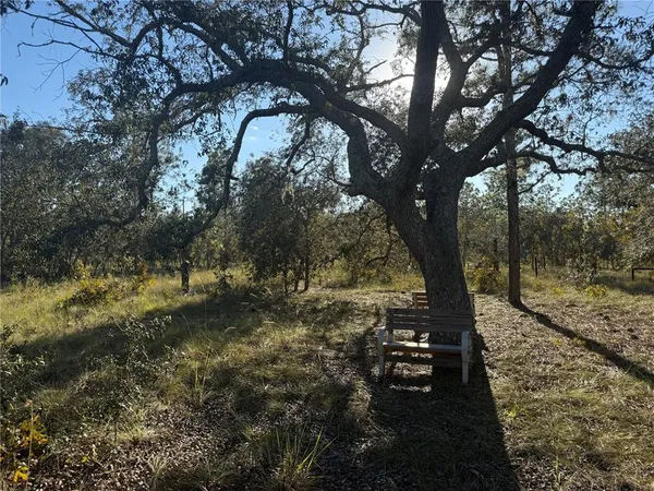 $135,000 | 0 Southeast 73 Lane, Morriston, FL 32668