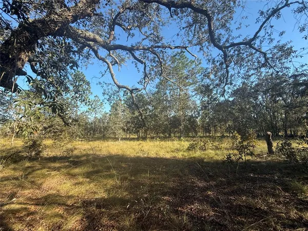 $135,000 | 0 Southeast 73 Lane, Morriston, FL 32668