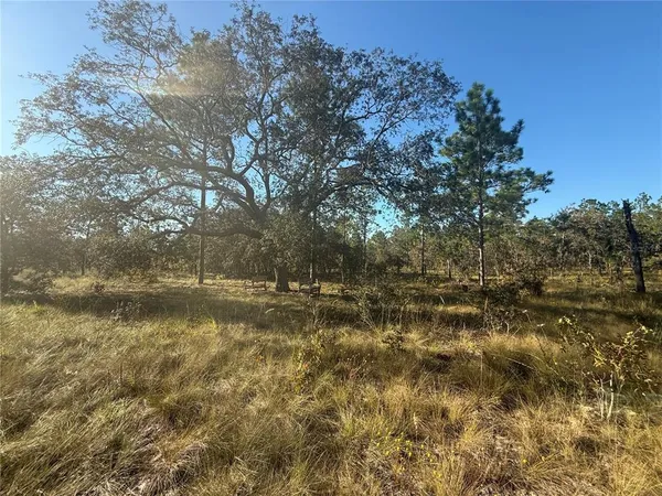 $135,000 | 0 Southeast 73 Lane, Morriston, FL 32668