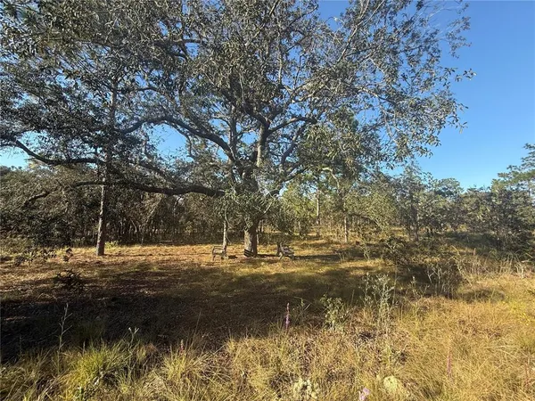 $135,000 | 0 Southeast 73 Lane, Morriston, FL 32668