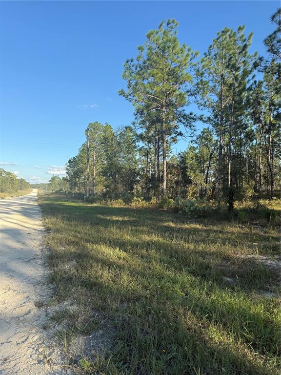 0 Southeast 73 Lane Morriston, FL 32668 - Photo 8 of 25