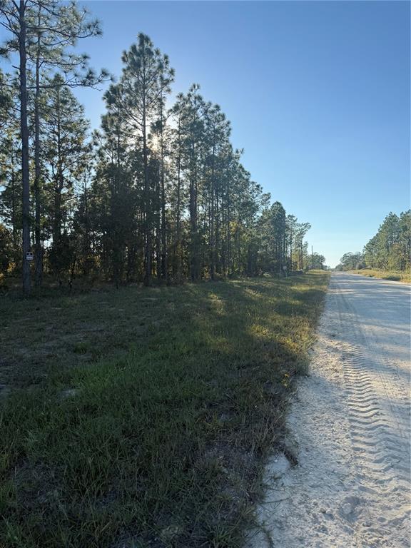 0 Southeast 73 Lane Morriston, FL 32668 - Photo 9 of 25