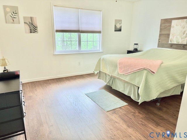 11283 Winding River Road Providence Forge, VA 23140 - Photo 26 of 28 Bedroom 2 on second floor w/ LVT FLOORS