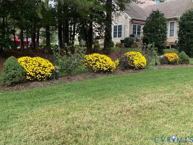 11283 Winding River Road Providence Forge, VA 23140 - Photo 3 of 28 Side yard with beautiful landscaping.