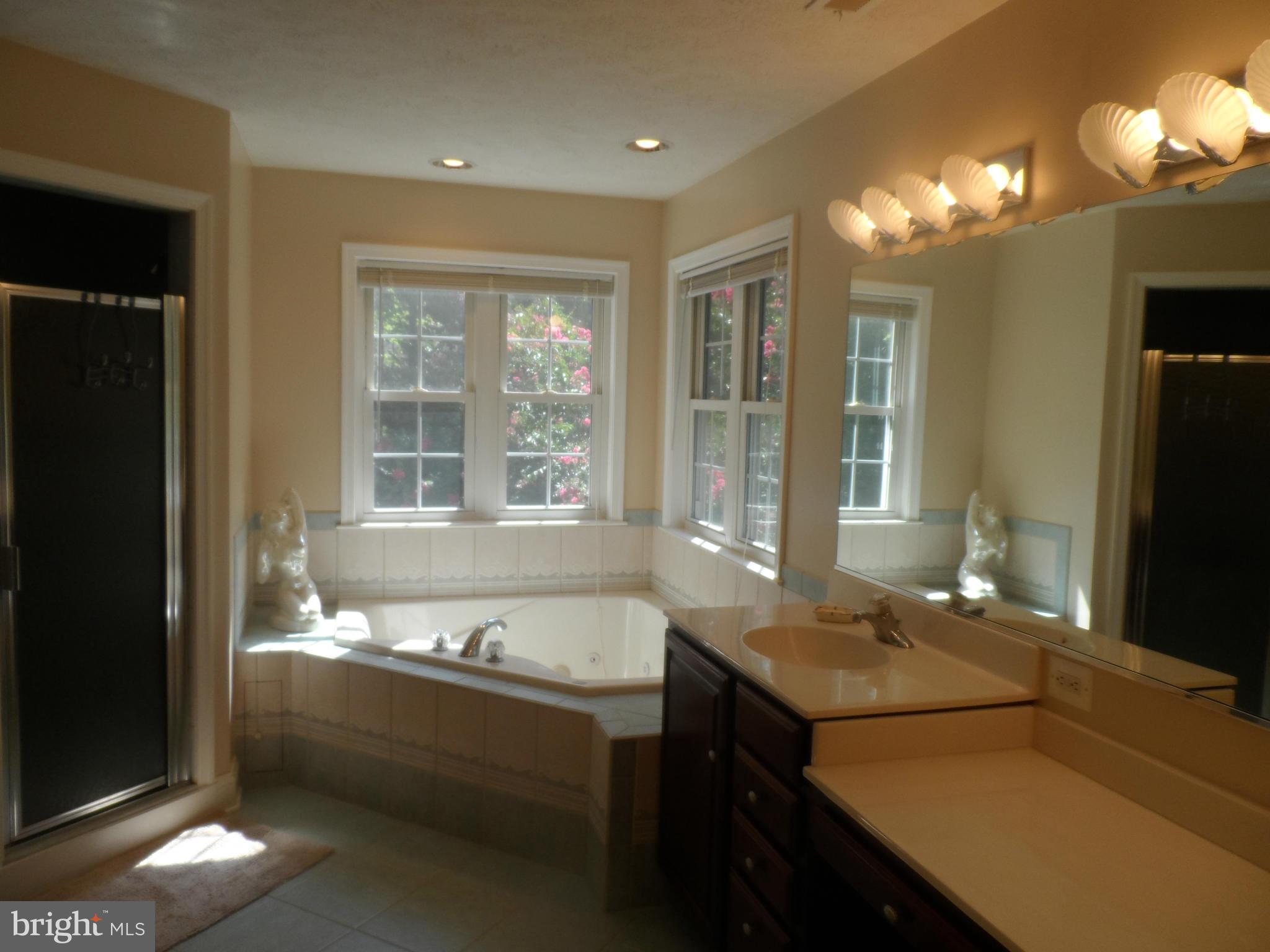 3130 Kenni Lane Dunkirk, MD 20754 - Photo 16 of 29 Bath (Master)