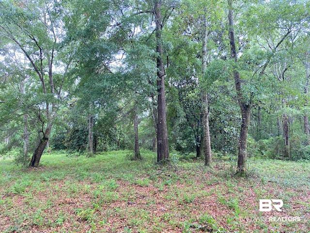 0 Beasley Road Foley, AL 36535 - Photo 29 of 29