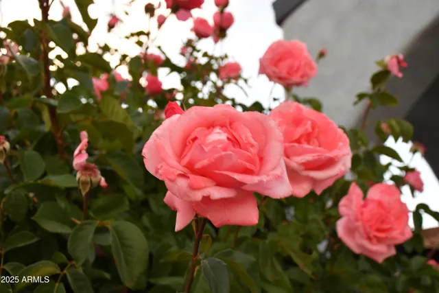 $565,000 | 3298 West Monte Vista Trail, Benson, AZ 85602