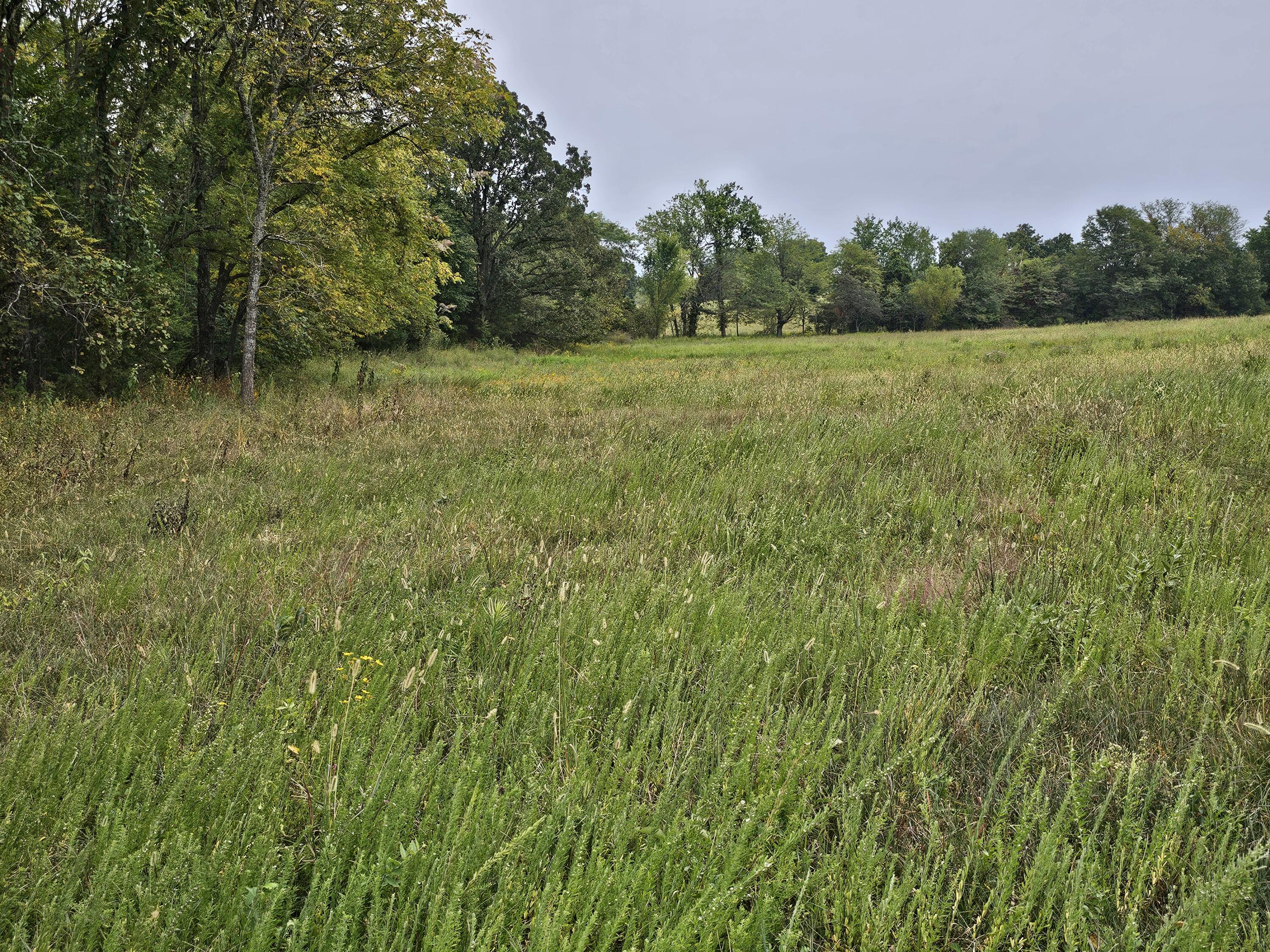 Lot 7 East 420th Road East Bolivar, MO 65613 - Photo 1 of 1 20240912_160908