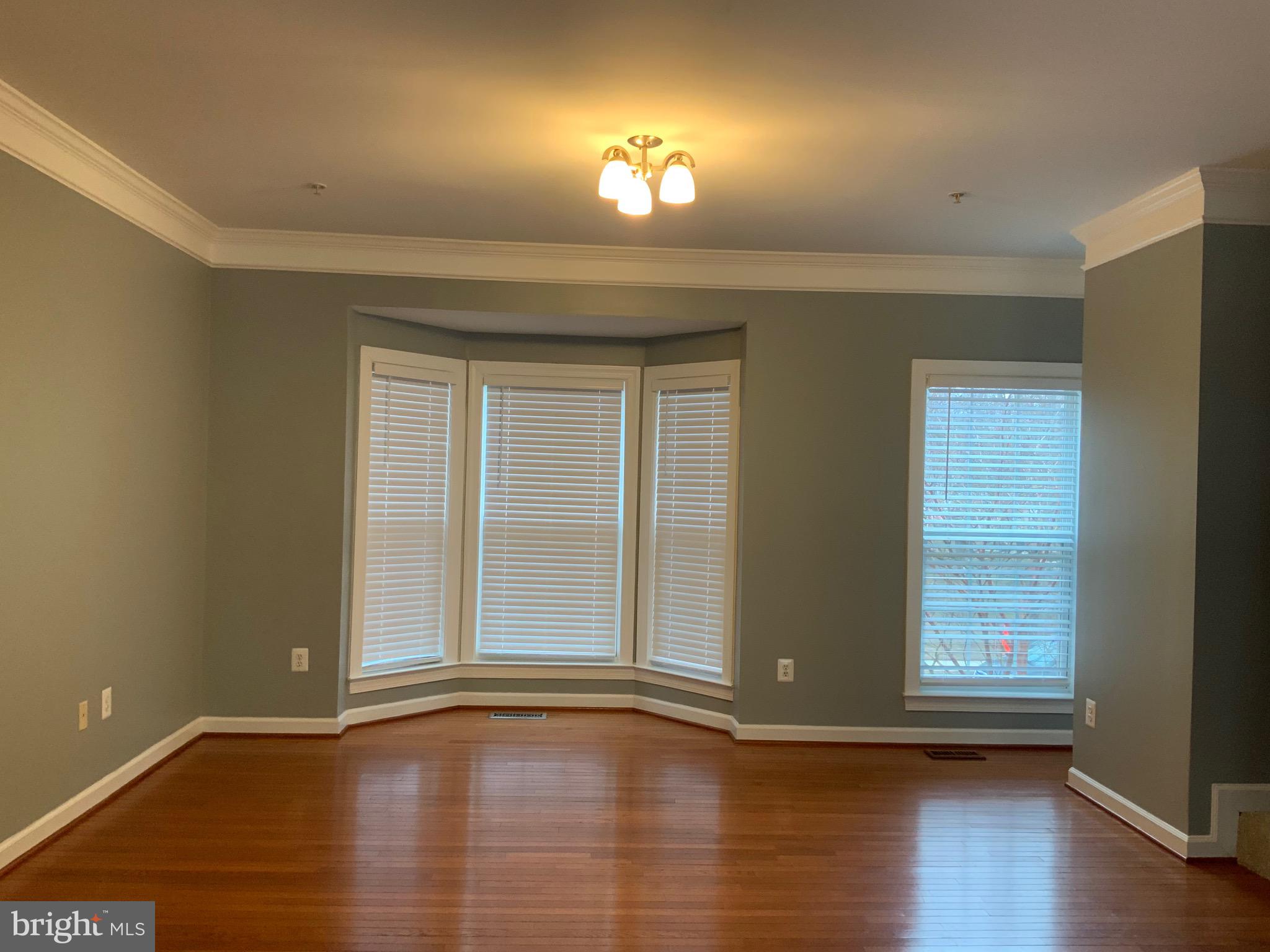 3301 Castle Ridge Circle, Unit 36 Silver Spring, MD 20904 - Photo 10 of 46 Living room