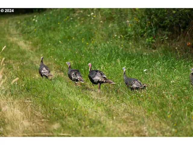 $3,500,000 | 162 Bylin Road, Stevenson, WA 98648