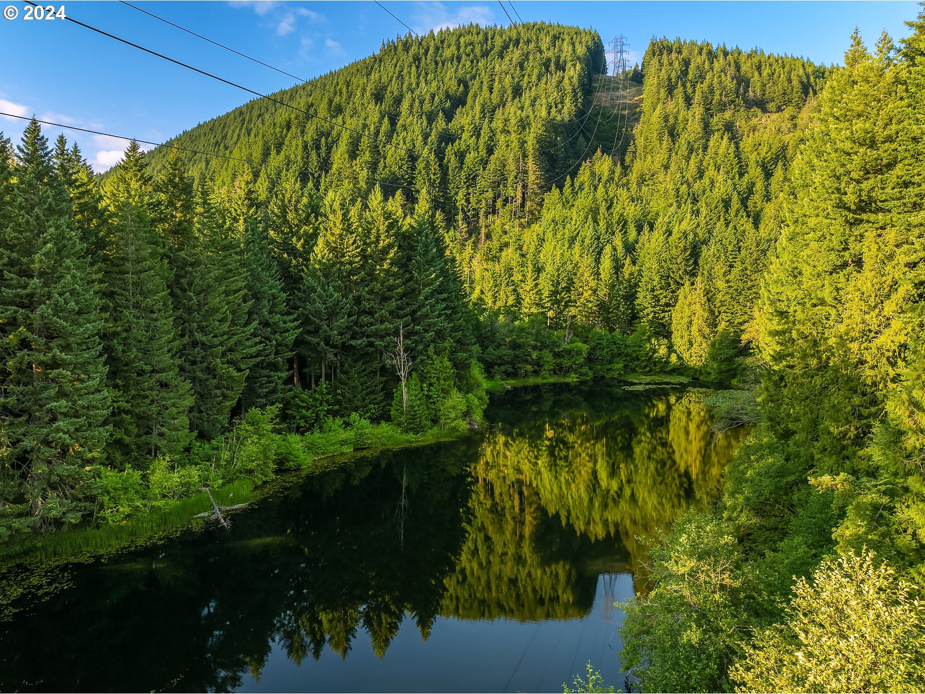 162 Bylin Road Stevenson, WA 98648 - Photo 37 of 48