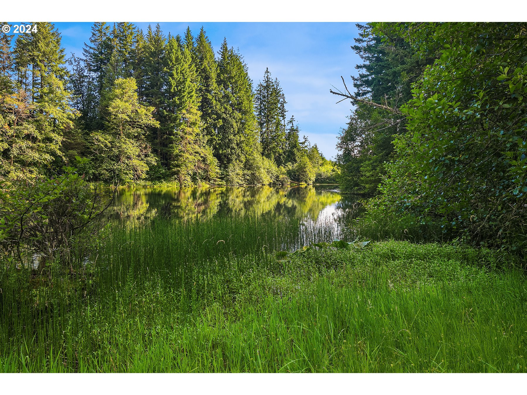 162 Bylin Road Stevenson, WA 98648 - Photo 48 of 48