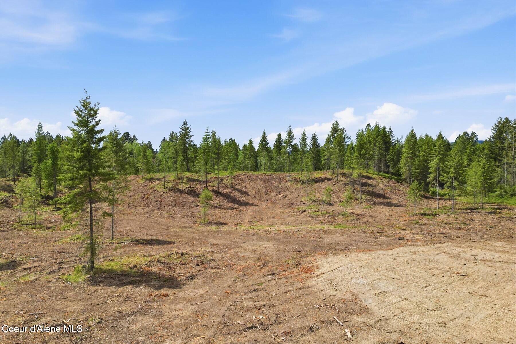 Lot 3 Poulton Way Bonners Ferry, ID 83805 - Photo 6 of 23 Many potential Building sites