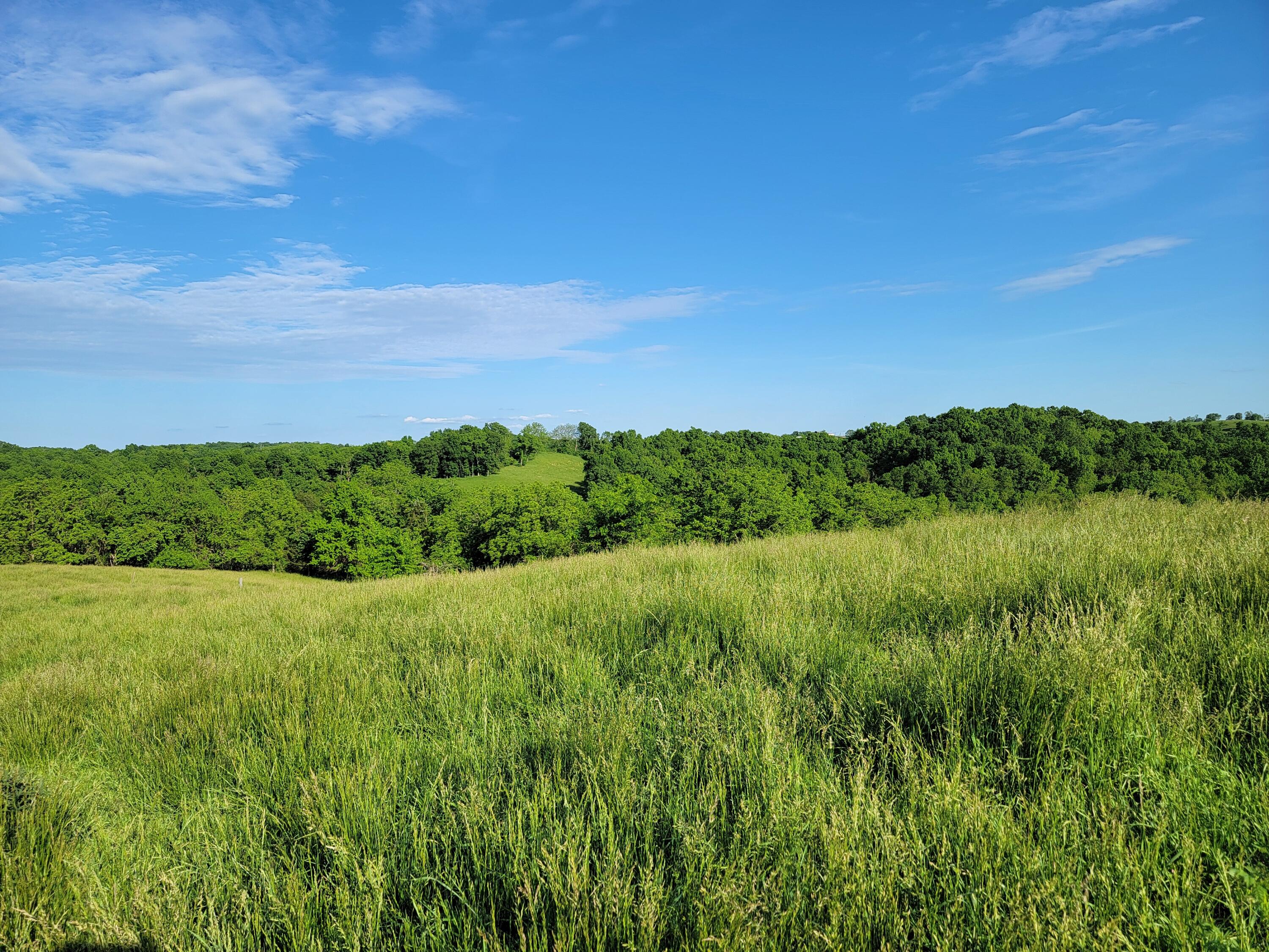 119-acres Keefer Road Corinth, KY 41010 - Photo 25 of 44 Gallery Image 25